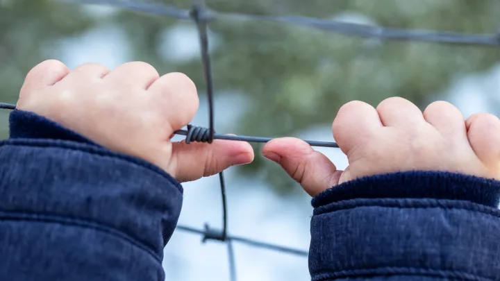Wenn kleine Hände wehtun - Workshop für Eltern von Kleinkindern